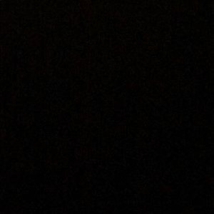 Meet your Posher, Yizzel